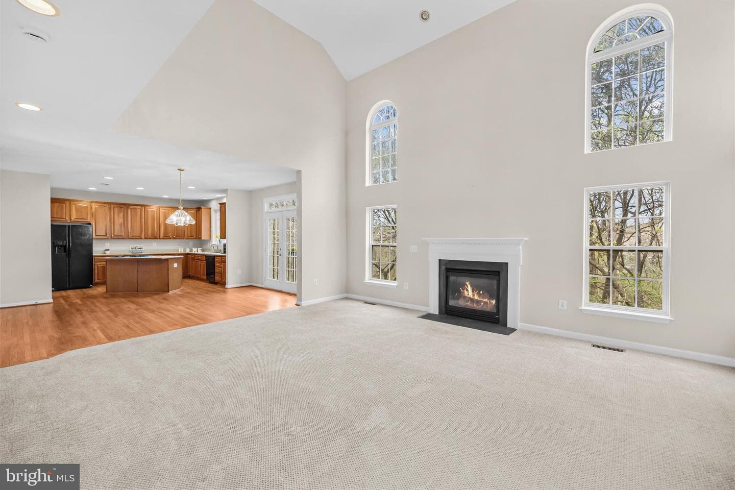 12494 Cliff Edge Drive photo 14