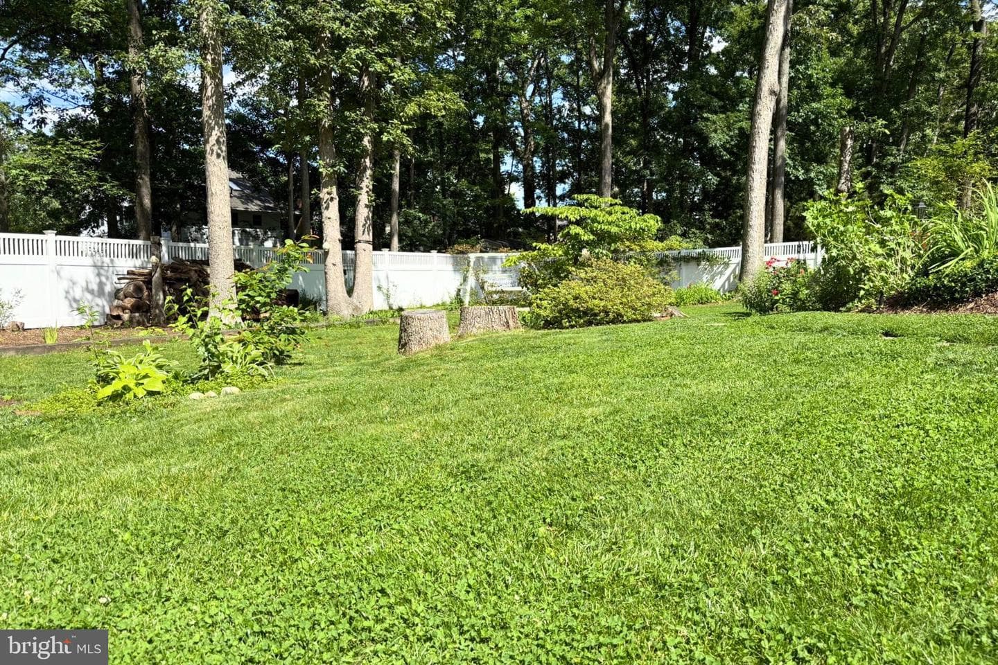 6003 Sherborn Lane photo 50