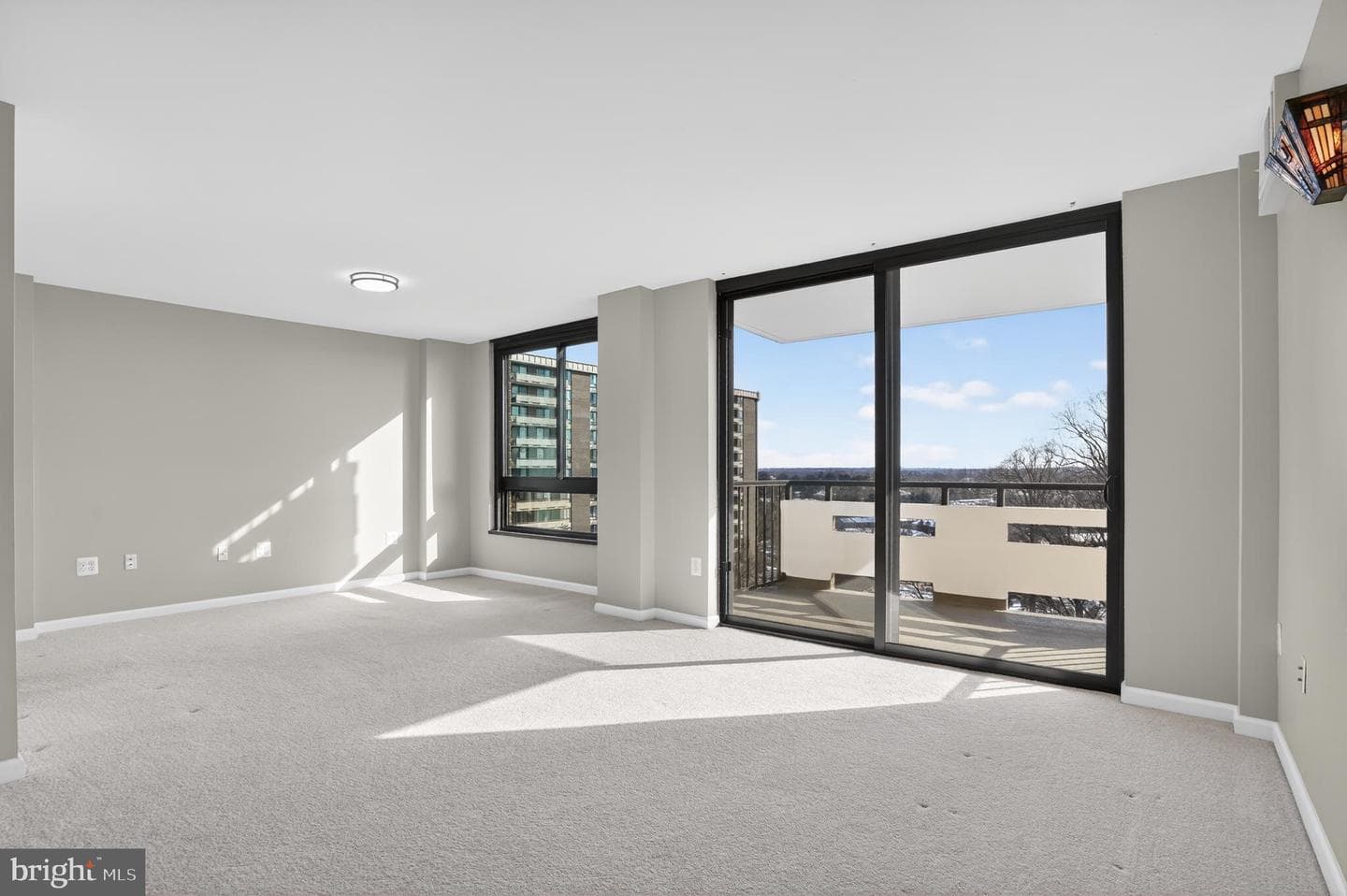 1808 Old Meadow Road #1009 photo 10