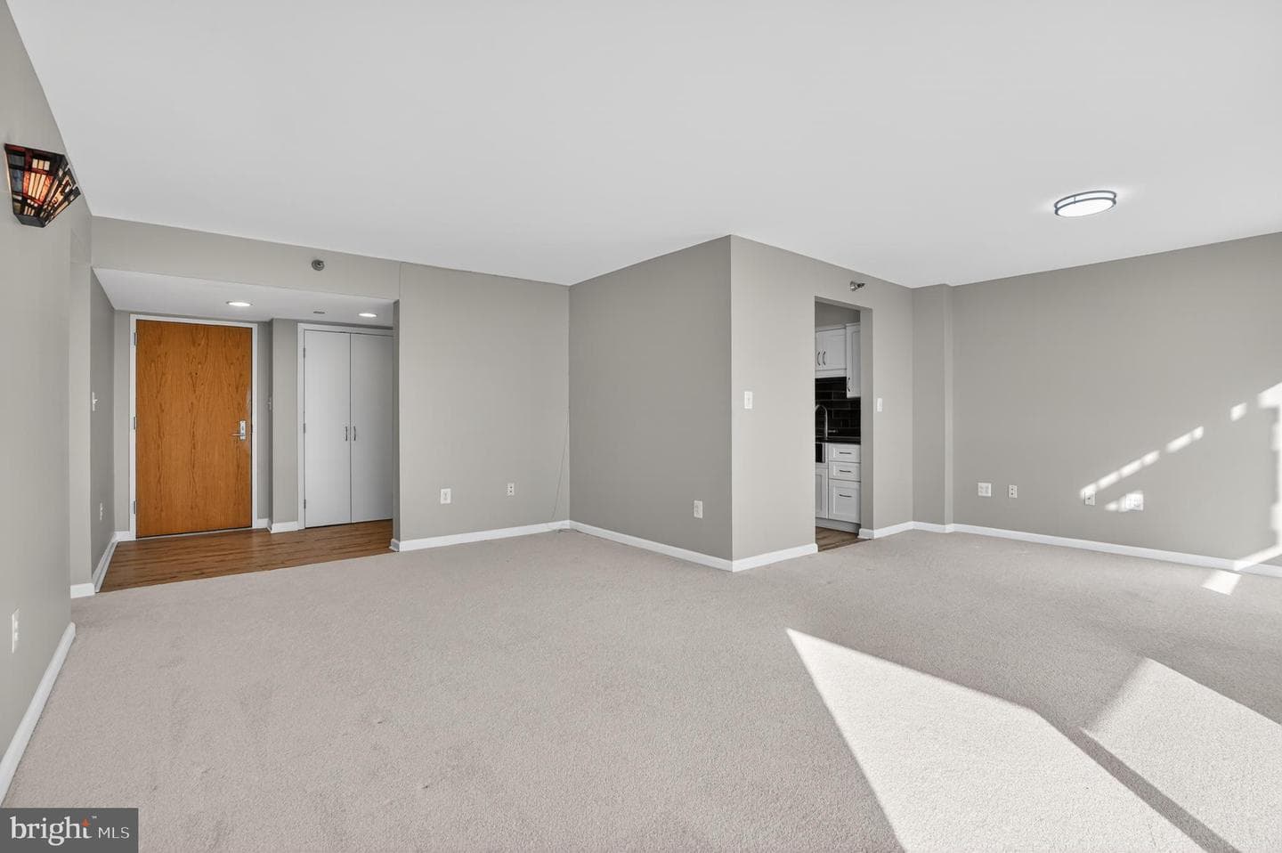 1808 Old Meadow Road #1009 photo 13