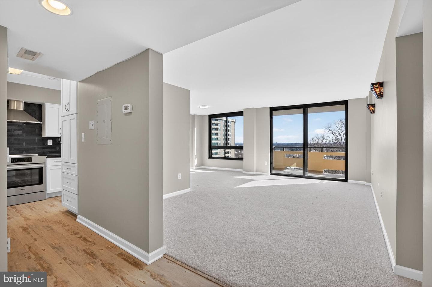 1808 Old Meadow Road #1009 photo 9