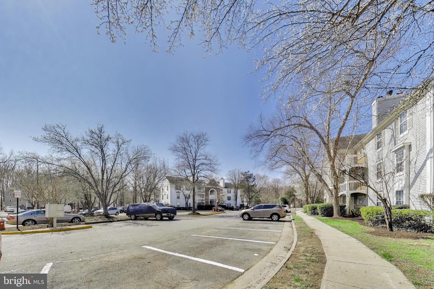 5704 Olde Mill Court #144 photo 17