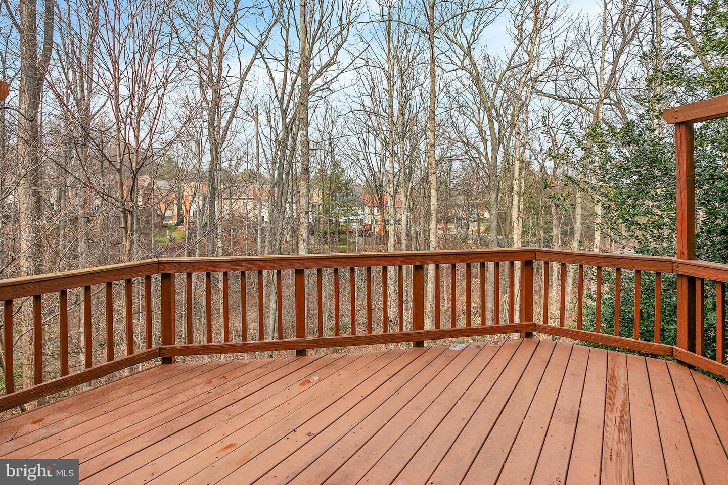 7205 Gentian Court photo 29