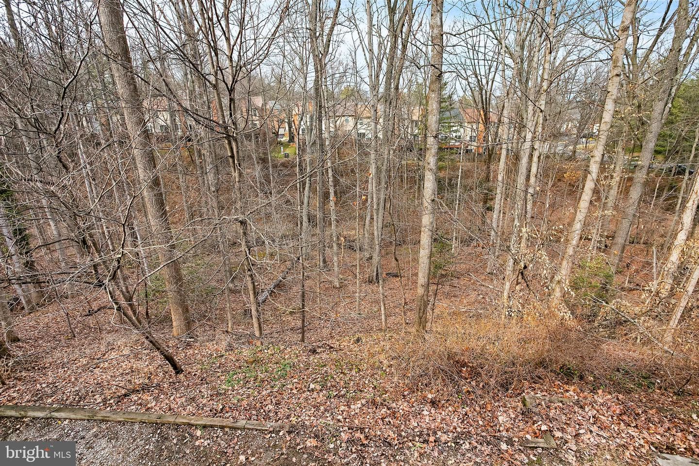 7205 Gentian Court photo 30