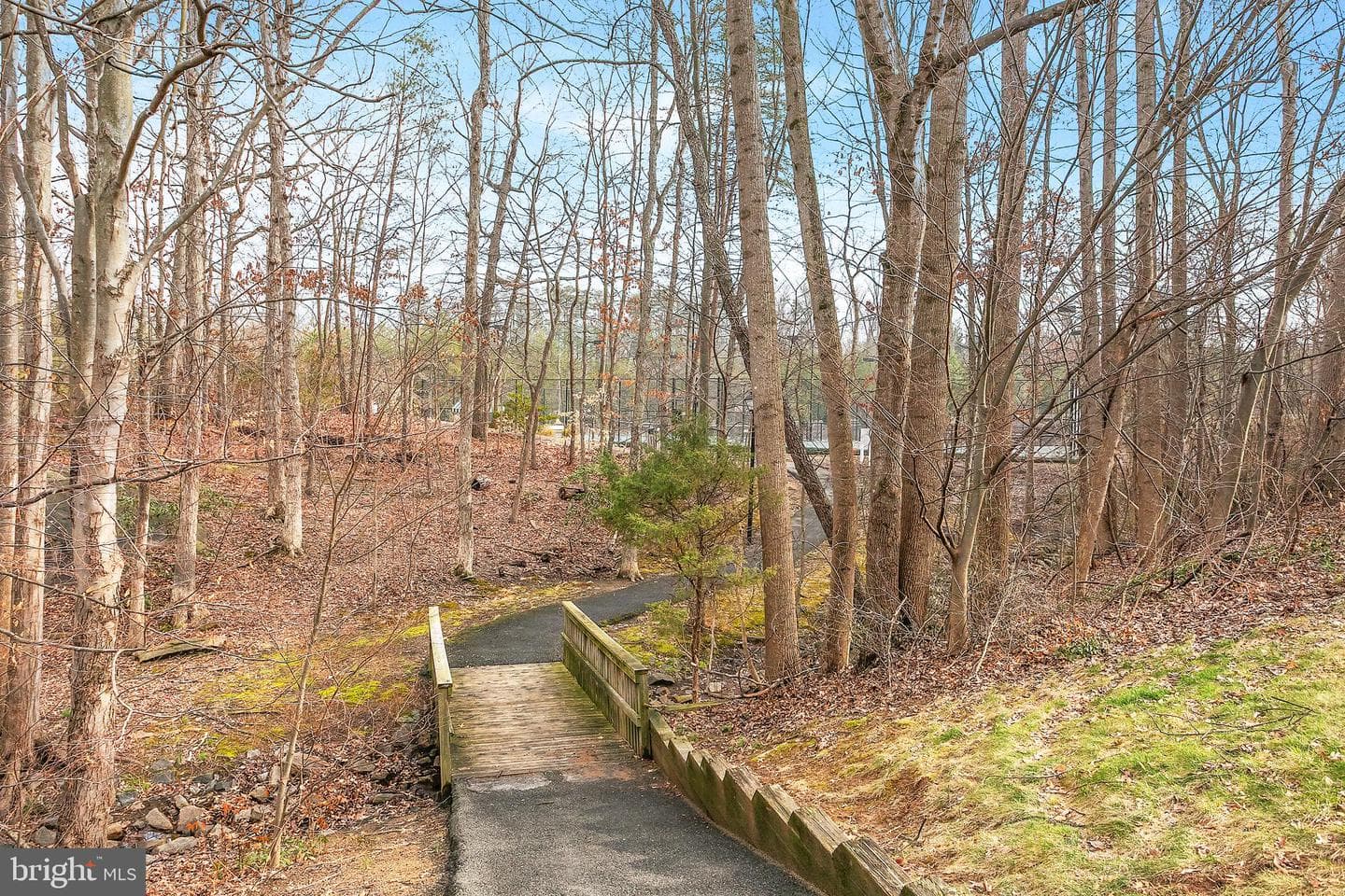 7205 Gentian Court photo 34