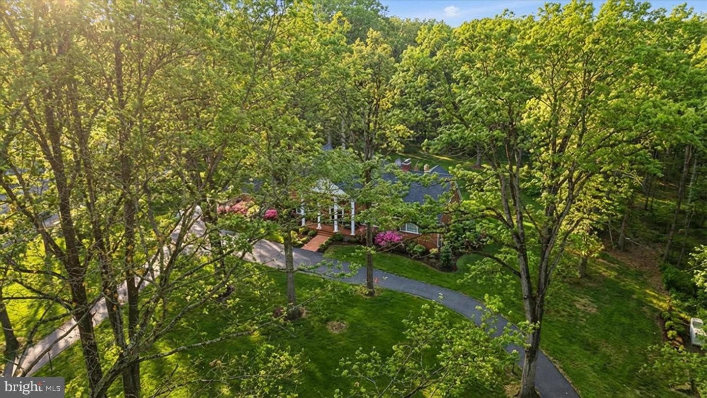 6704 Cedar View Court photo 108