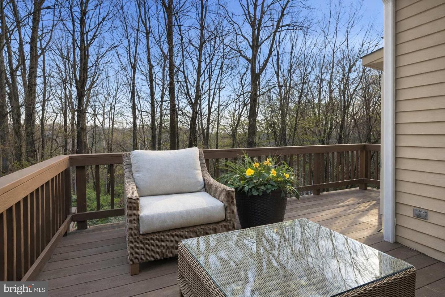 6127 Donival Square photo 43