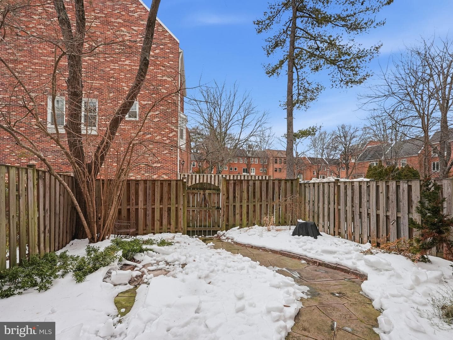 1566 Westmoreland Street photo 52