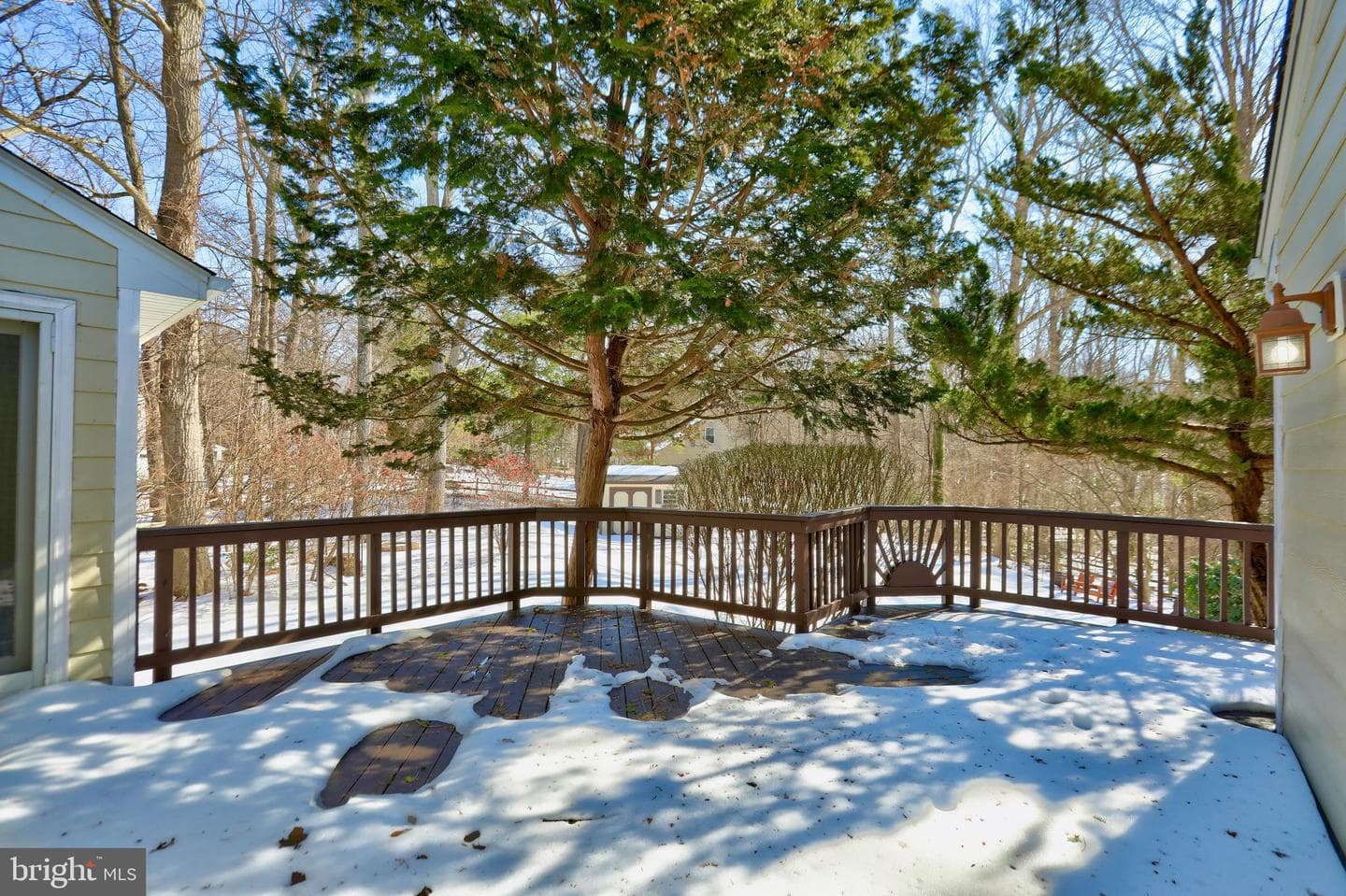 3203 Cinch Ring Court photo 31