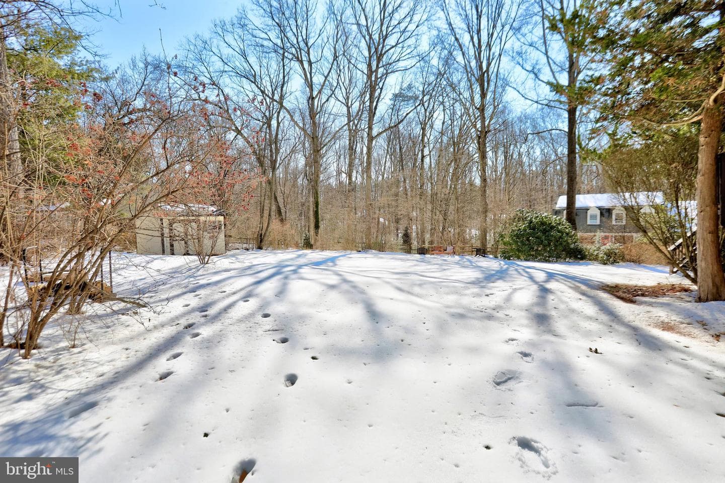 3203 Cinch Ring Court photo 32
