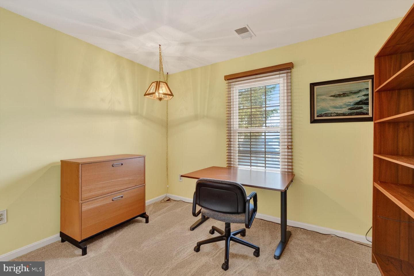 8836 Shadowlake Way photo 43