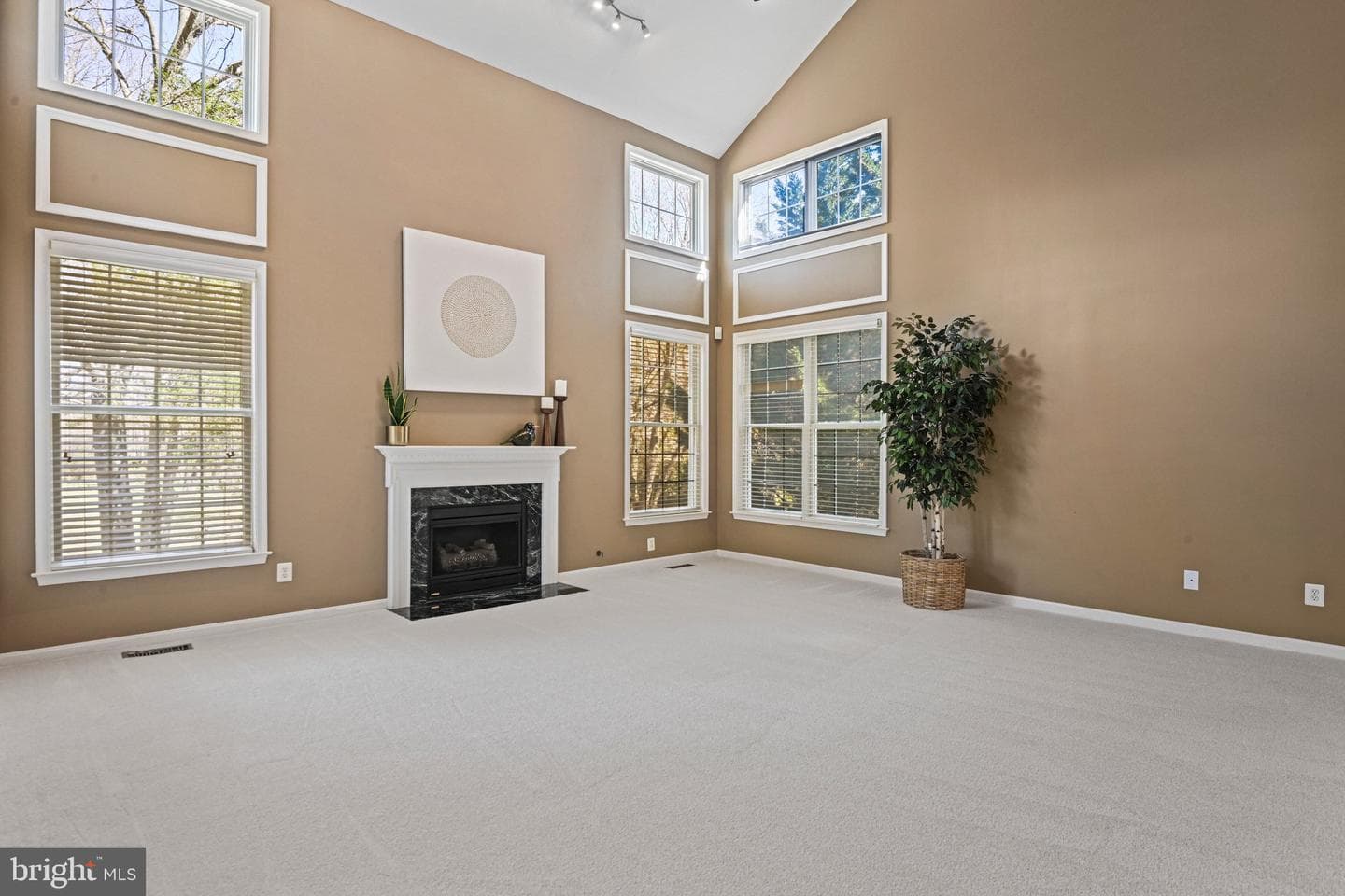 1831 Beulah Road photo 21