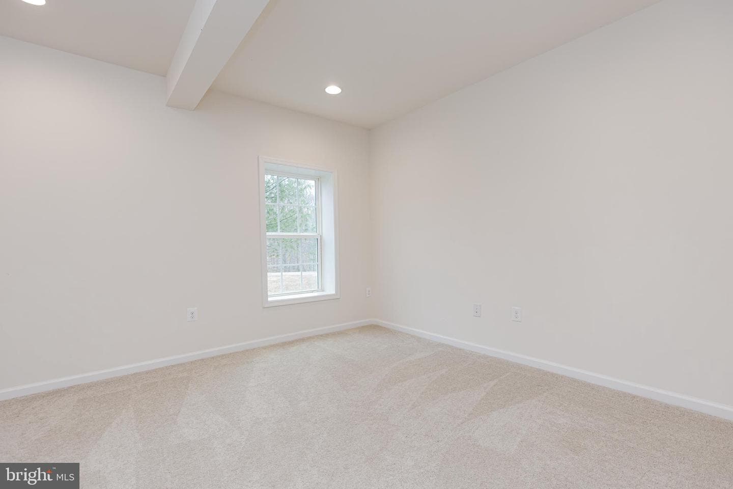 8835 Chrisanthe Court photo 100