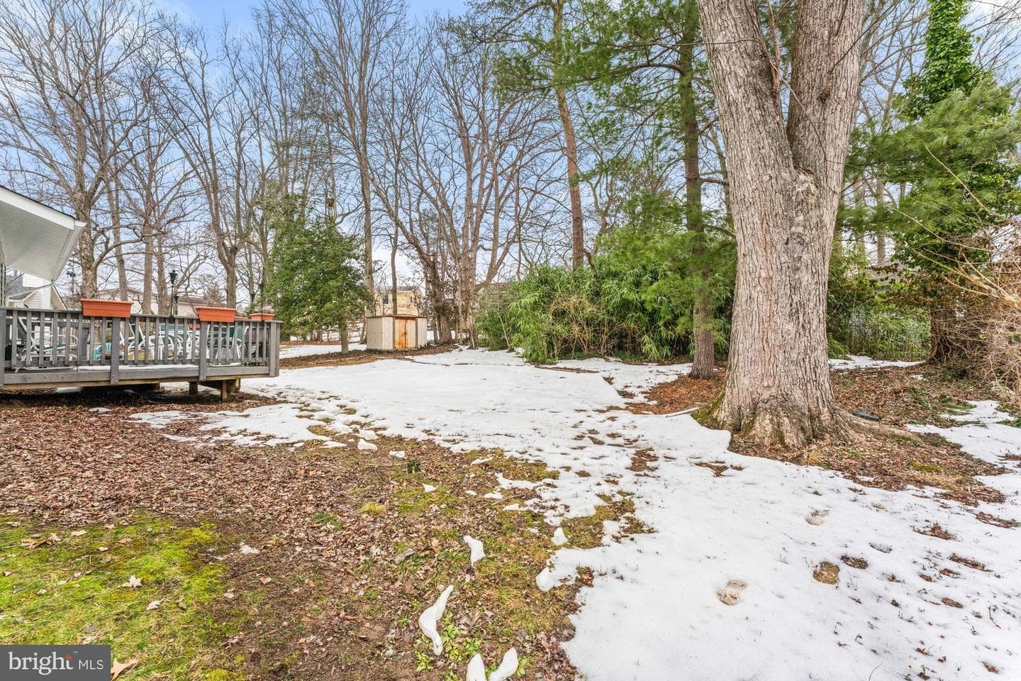 606 Meadow Lane SW photo 14