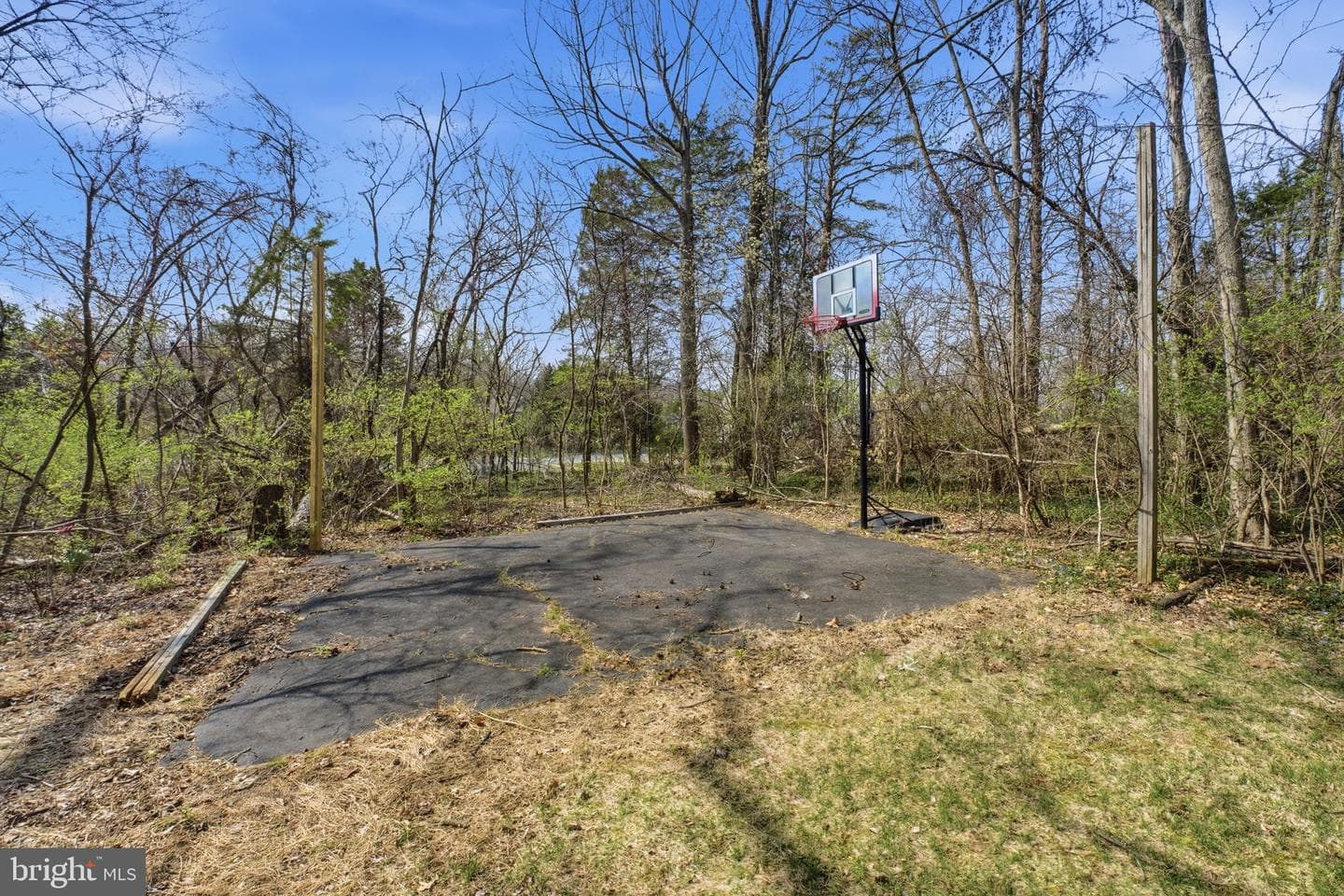12005 Meadowville Court photo 47