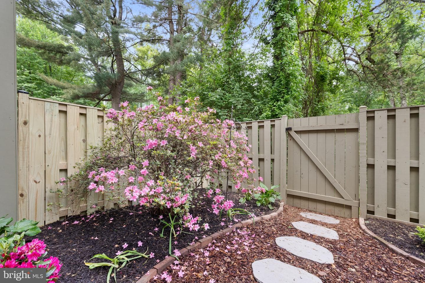 11172 Forest Edge Drive photo 35