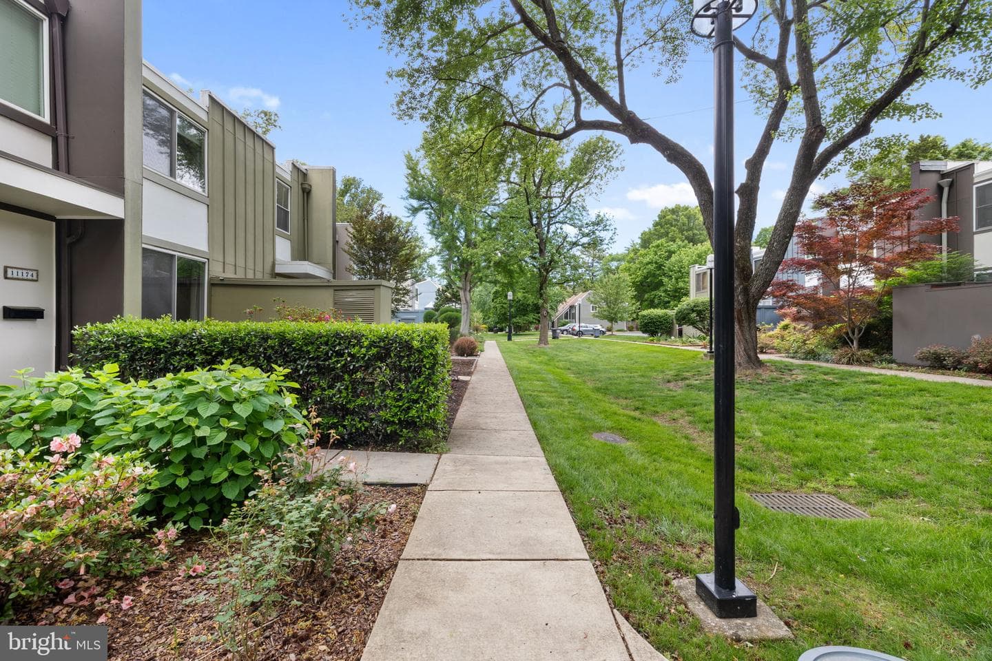 11172 Forest Edge Drive photo 4