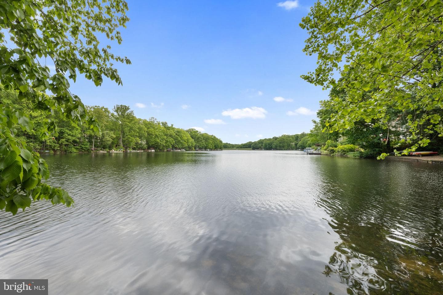 11172 Forest Edge Drive photo 40