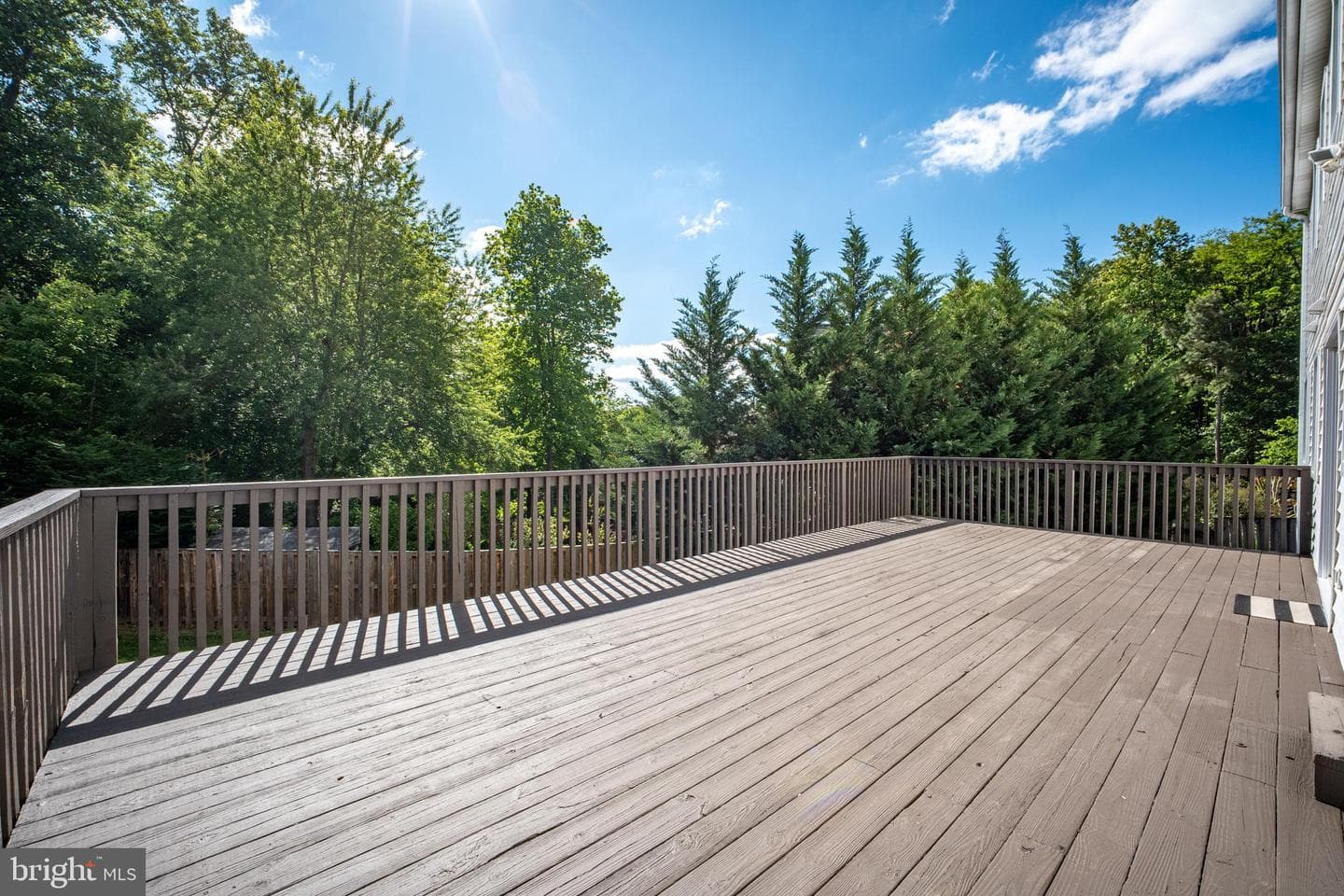9609 Podium Drive photo 44