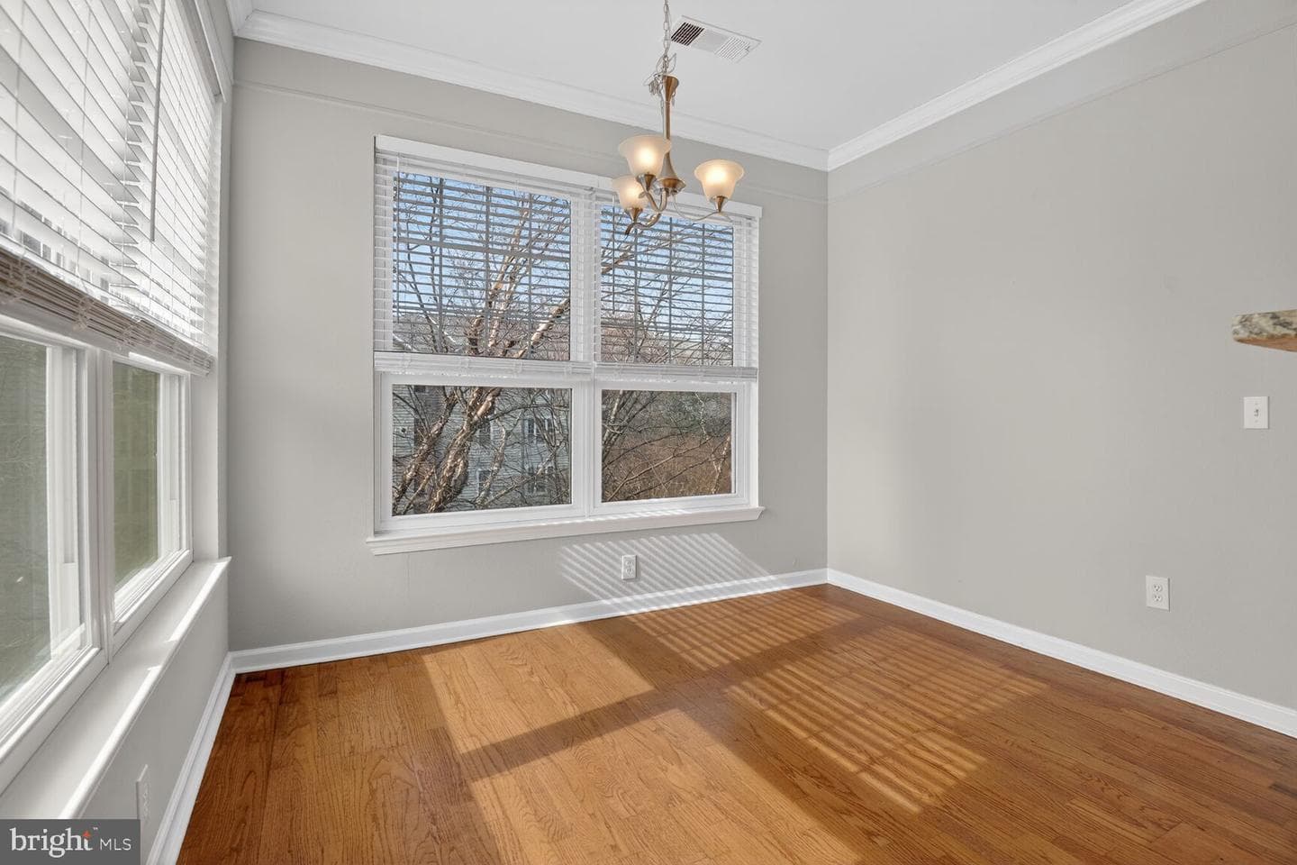 1600 Spring Gate Drive #2402 photo 11