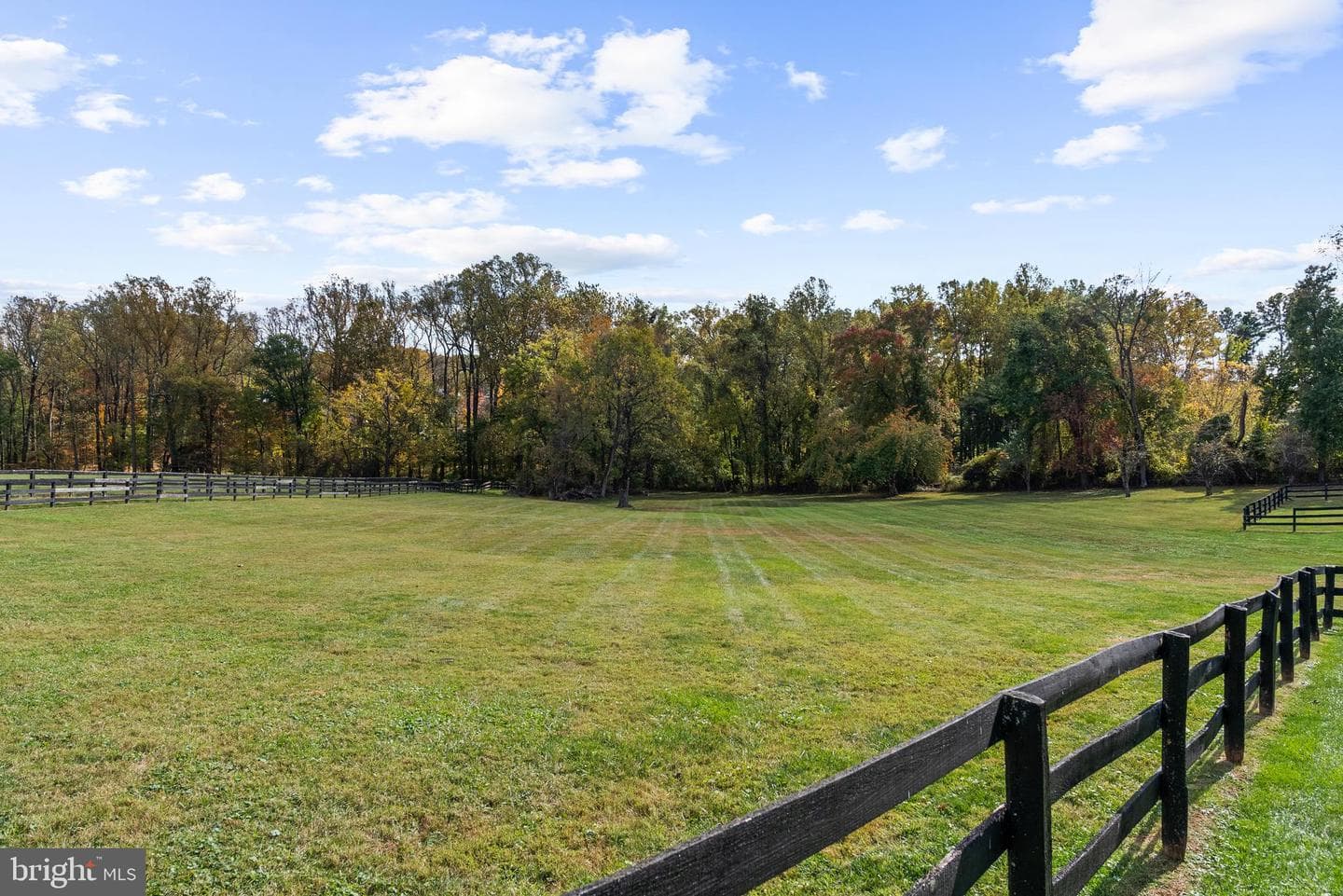1207 Towlston Road photo 72