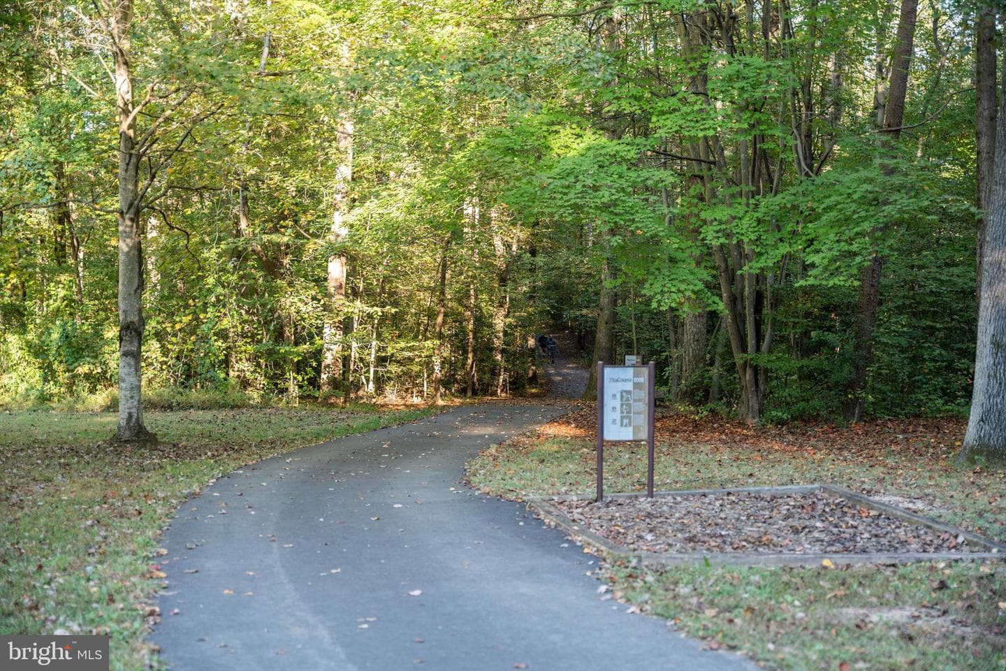9022 Gavelwood Court photo 41