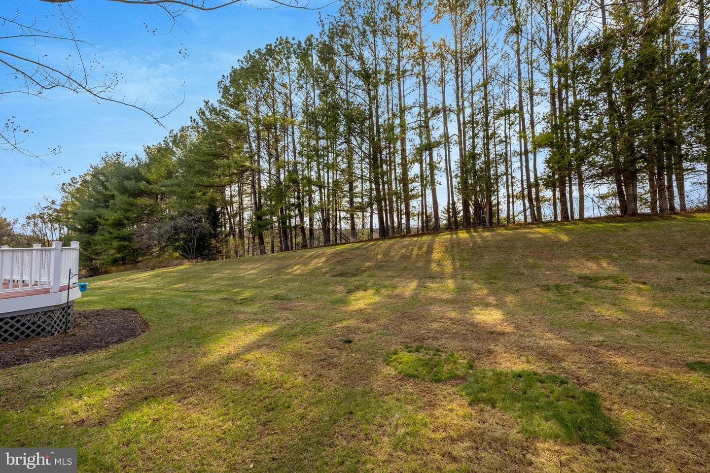 1398 Park Lake Drive photo 57