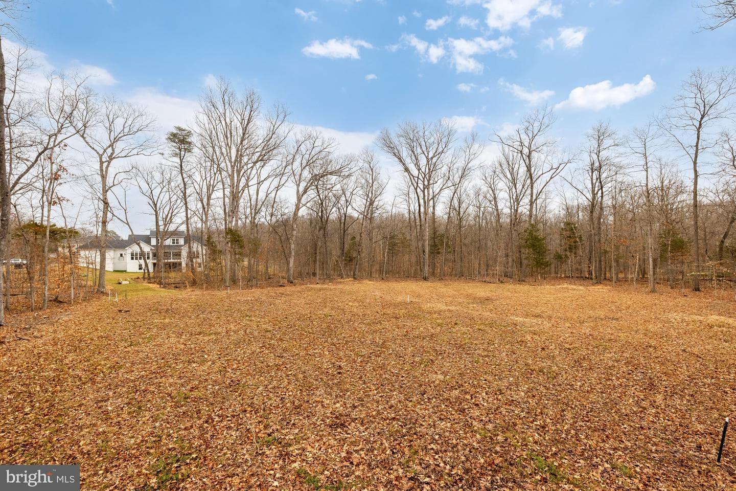 12650 Popes Head Road photo 63