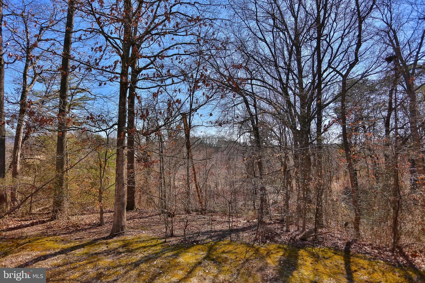 5837 Norham Drive photo 19