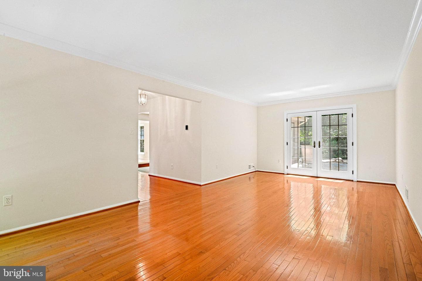 11311 Handlebar Road photo 18
