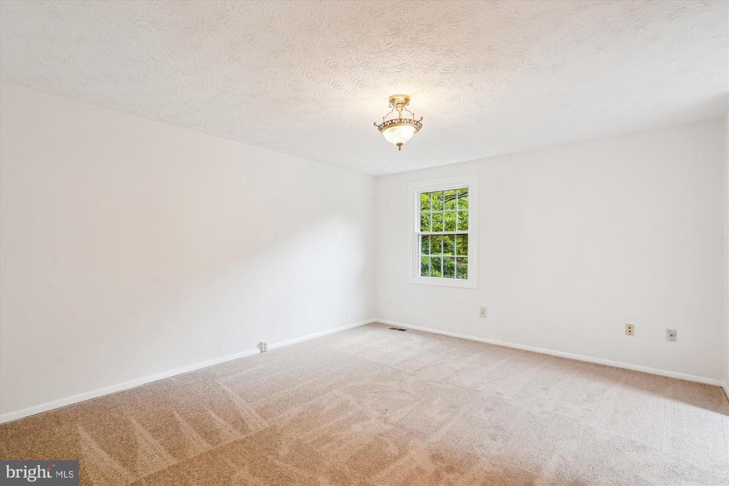 10921 Harpers Square Court photo 26