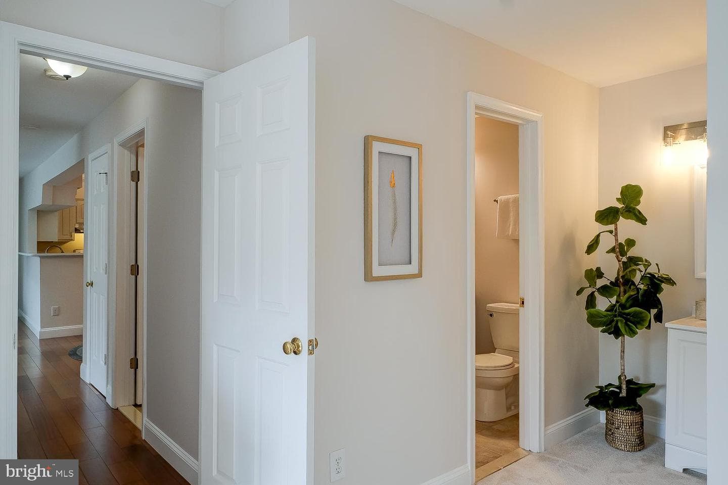 2224 Springwood Drive #j photo 17