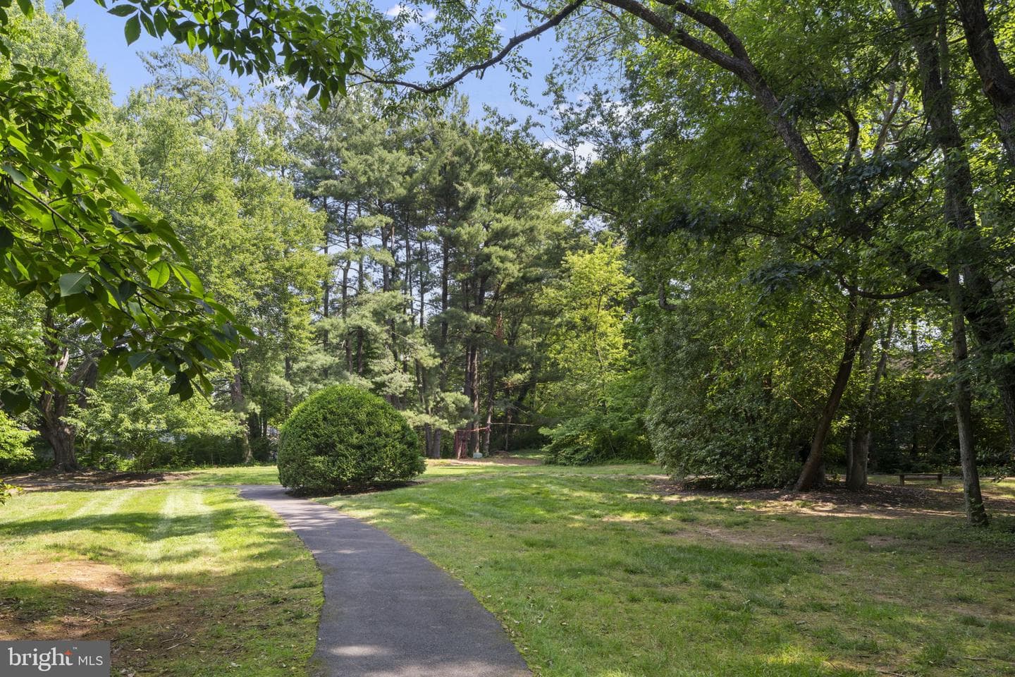 11611 Clubhouse Court photo 44