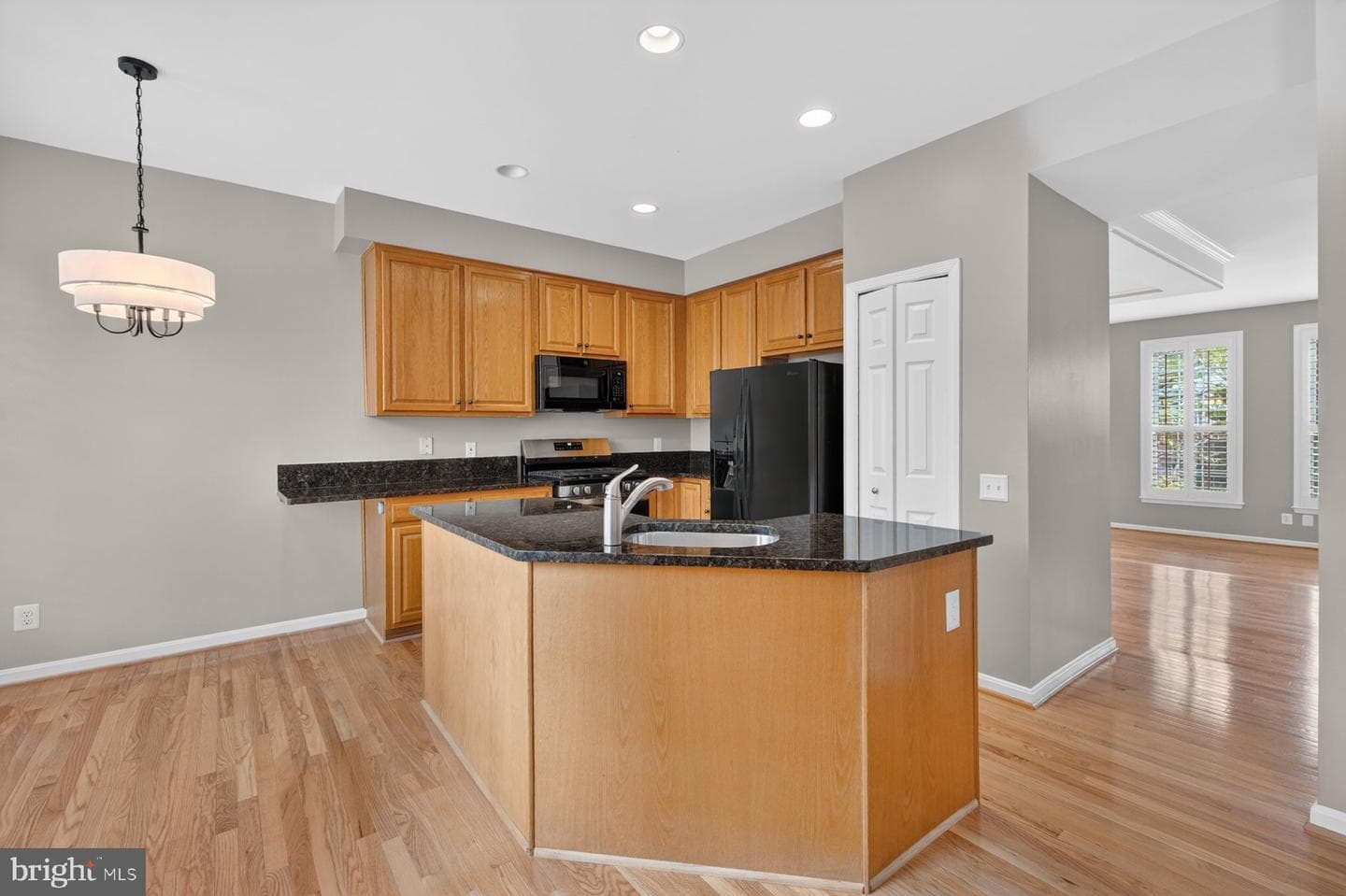 7502 Shirley Hunter Way photo 9