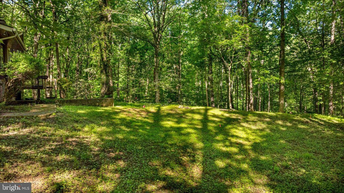 7818 Georgetown Pike photo 14