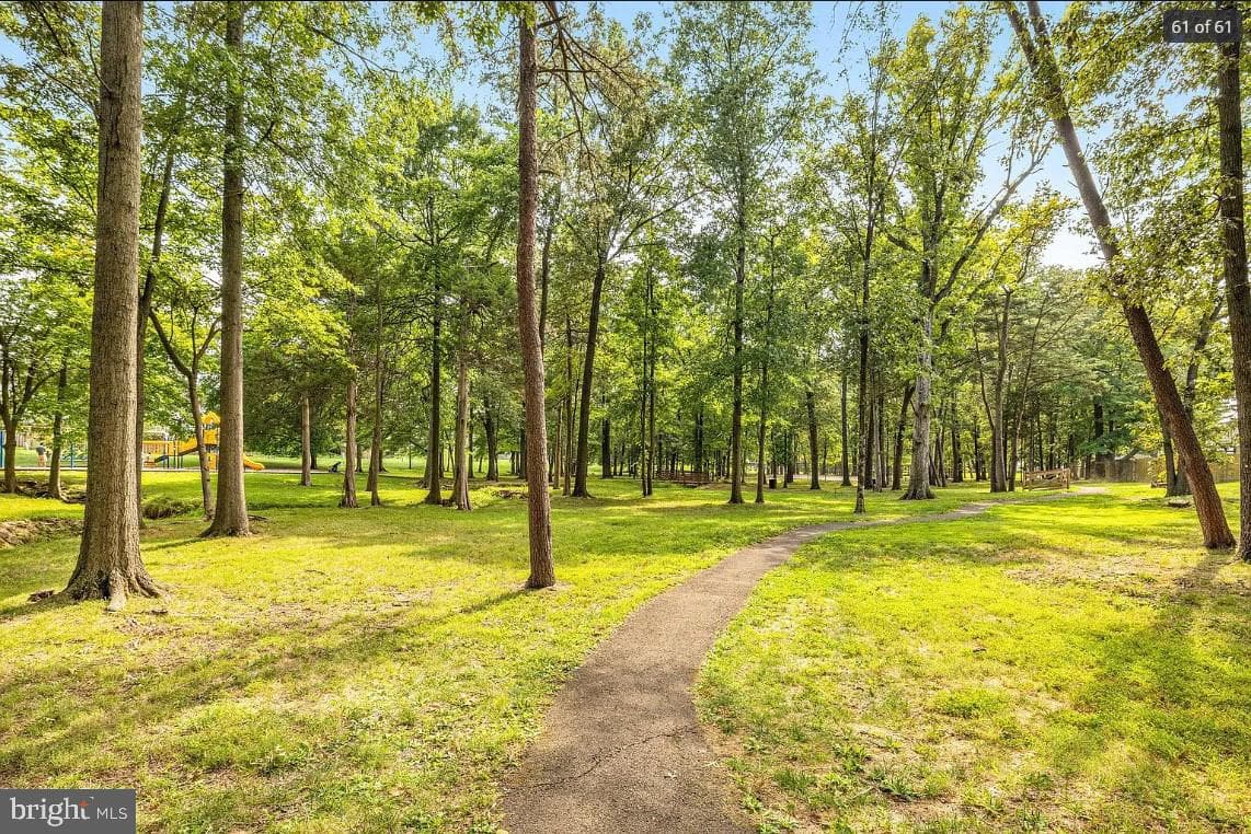 2205 Herman Court photo 45