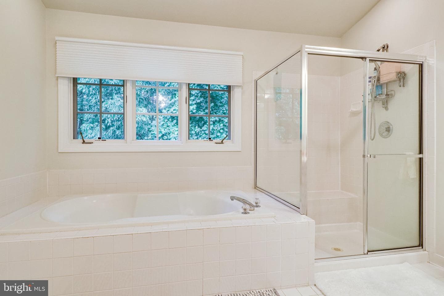 5021 Whisper Willow Drive photo 47