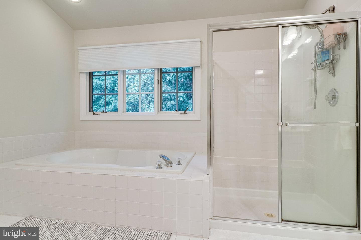 5021 Whisper Willow Drive photo 48