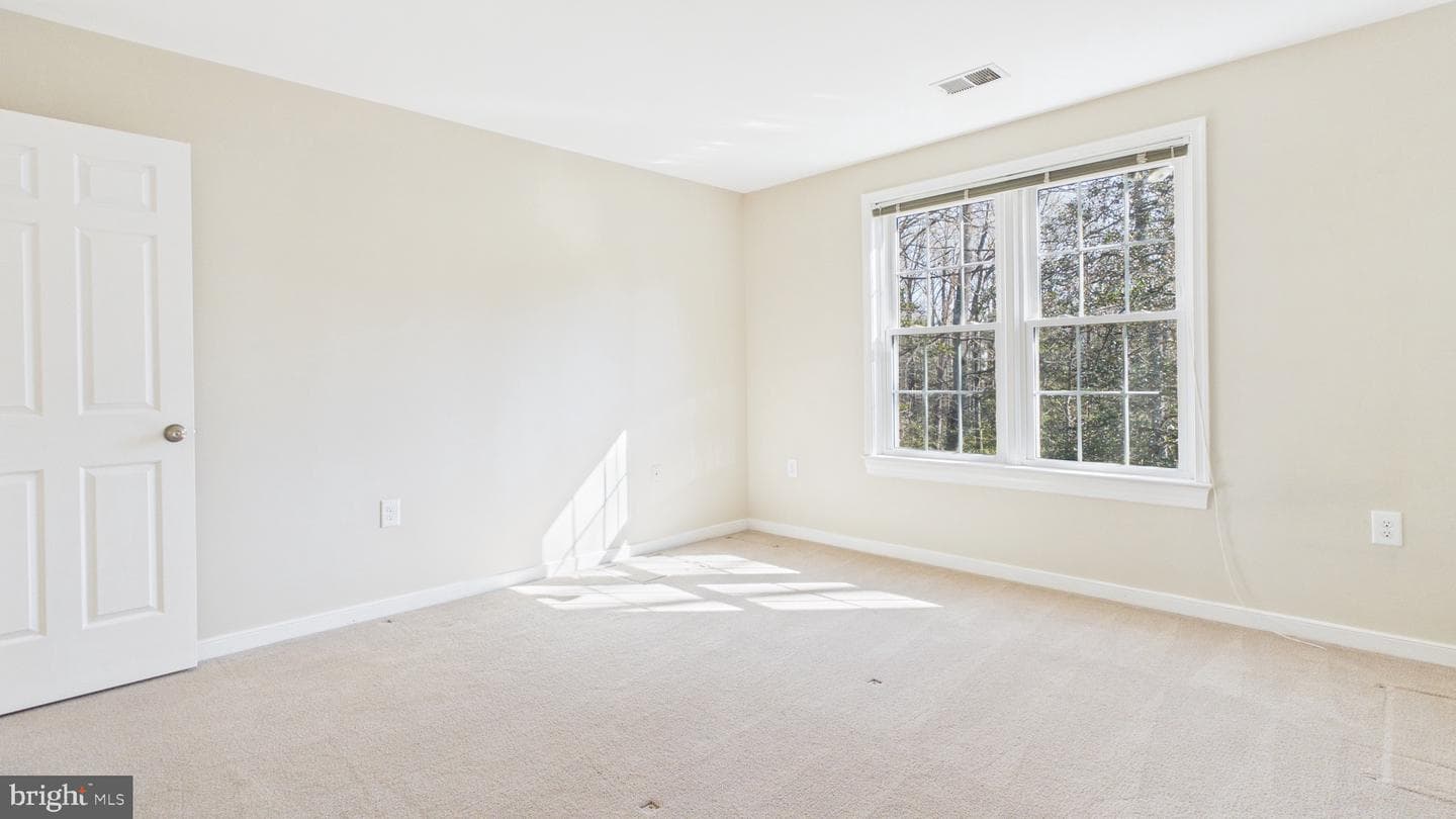 10298 Dunn Meadow Road photo 58
