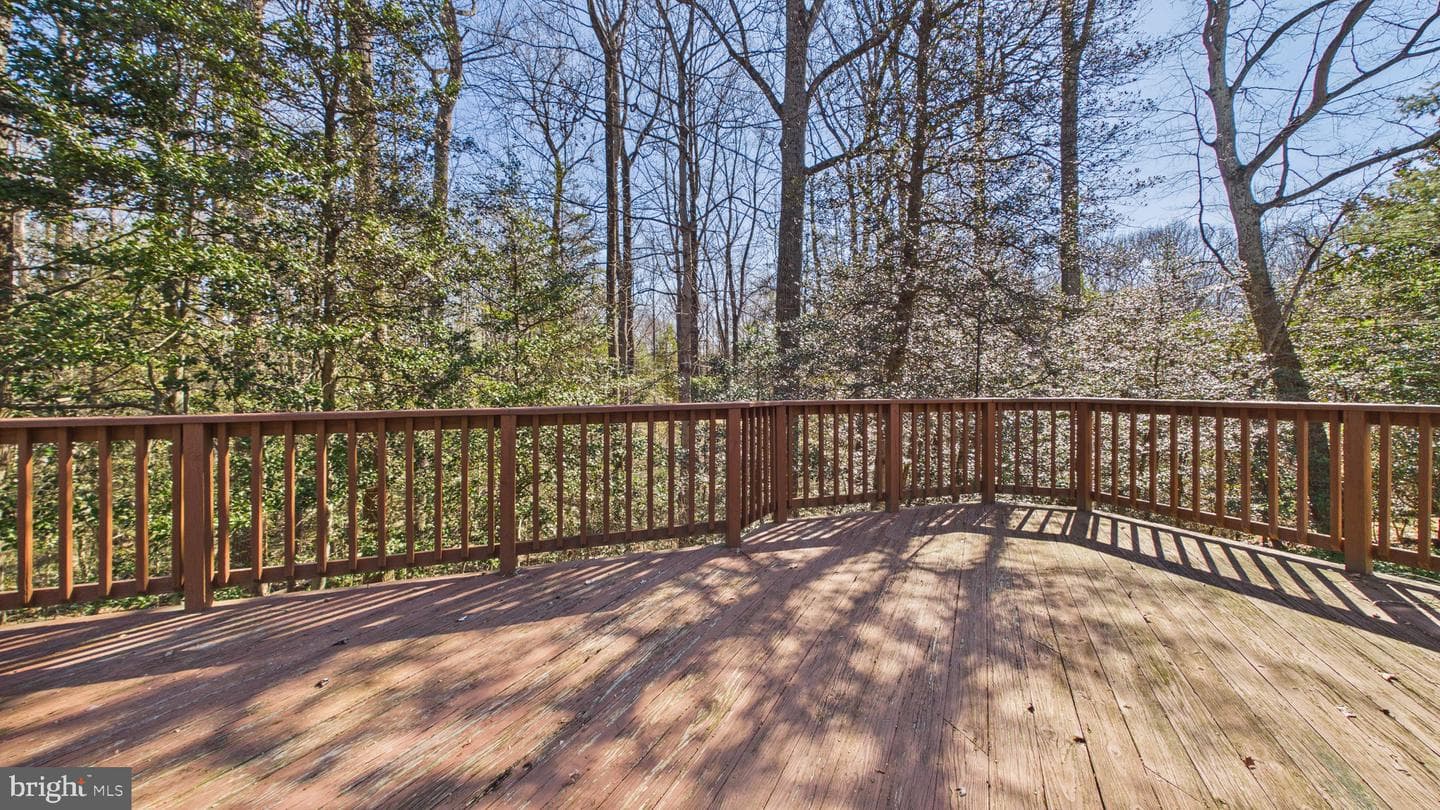 10298 Dunn Meadow Road photo 66
