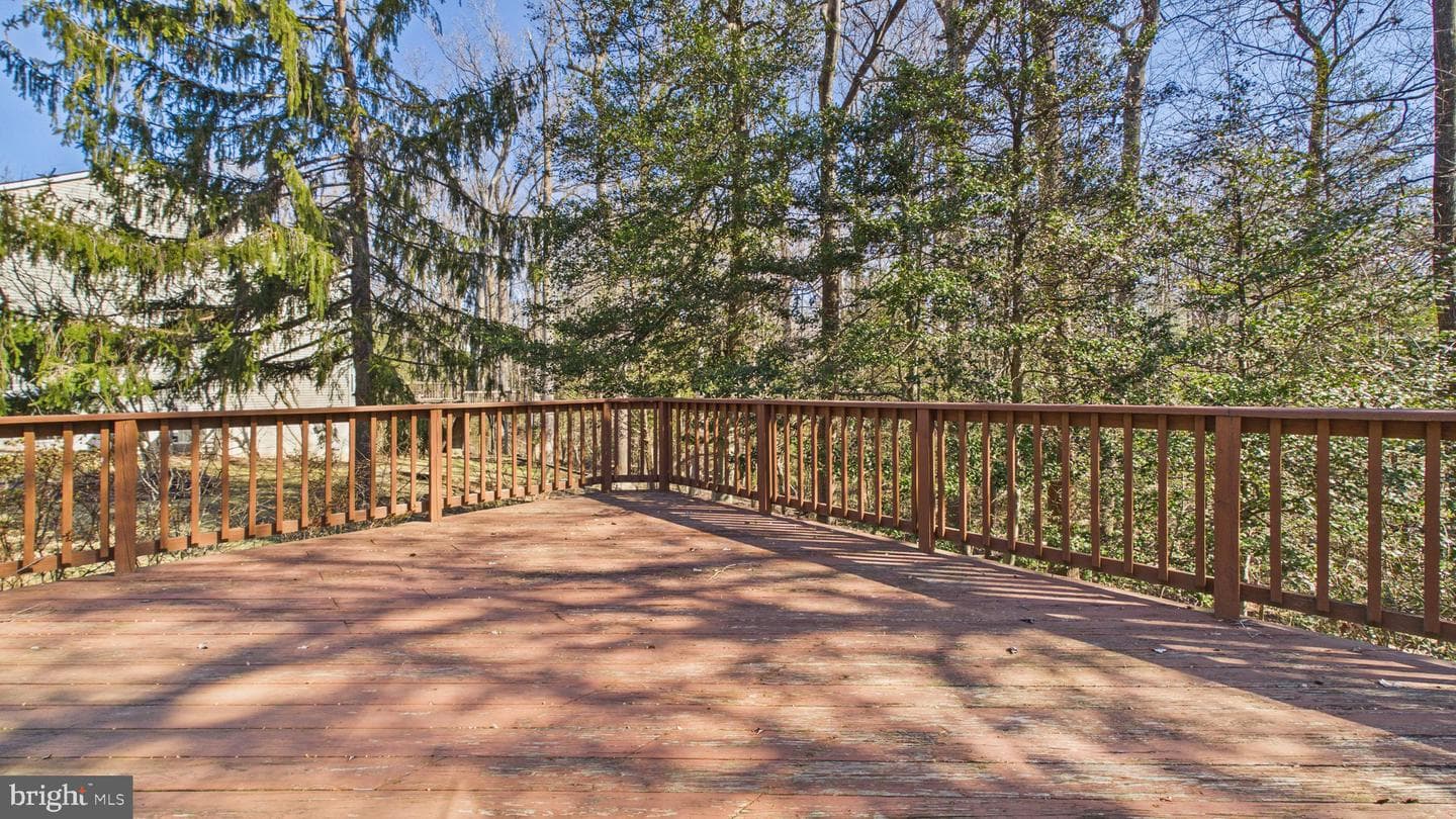 10298 Dunn Meadow Road photo 67