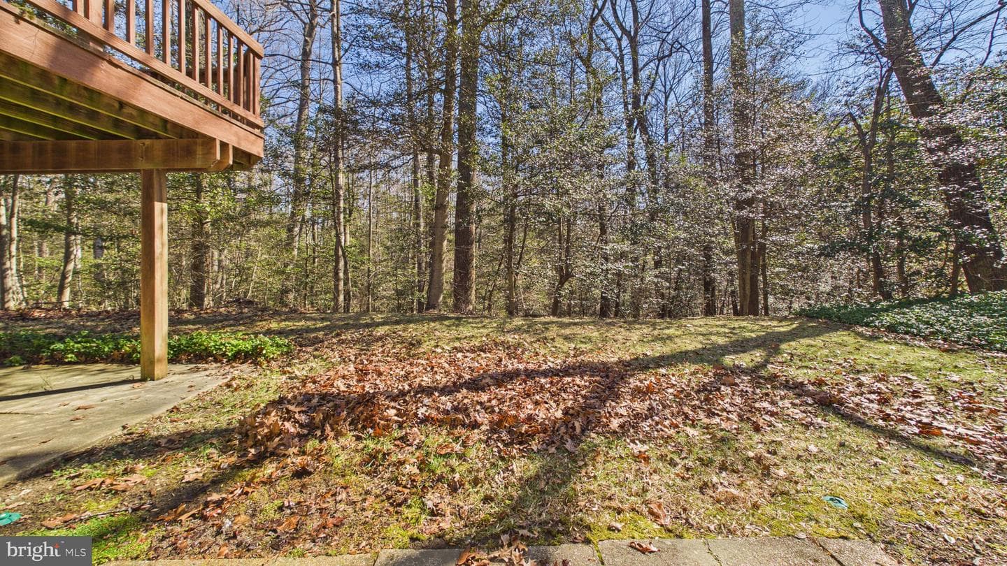 10298 Dunn Meadow Road photo 72