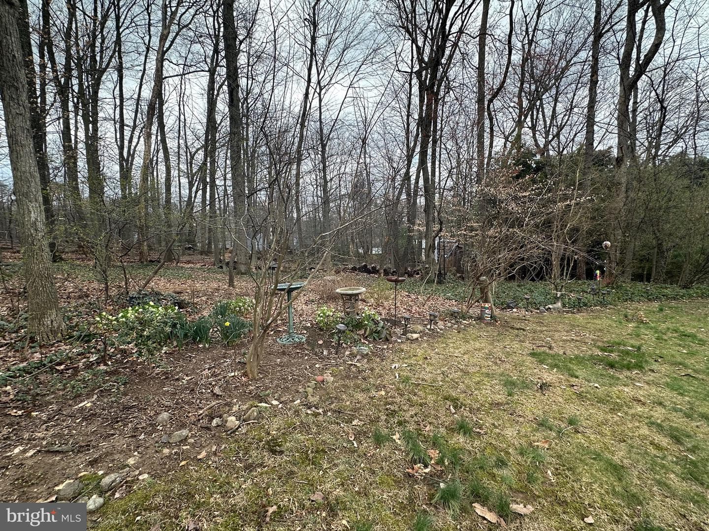 3812 Tall Oak Court photo 47