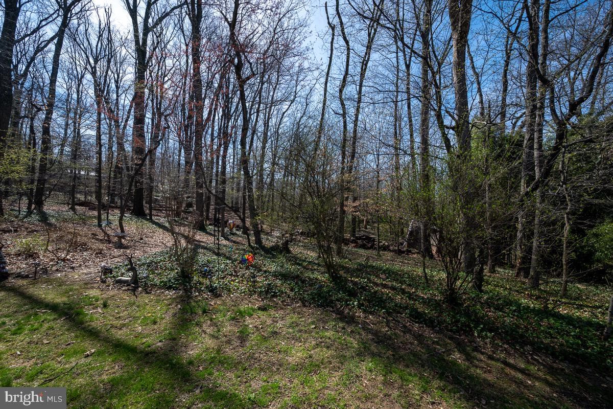 3812 Tall Oak Court photo 68