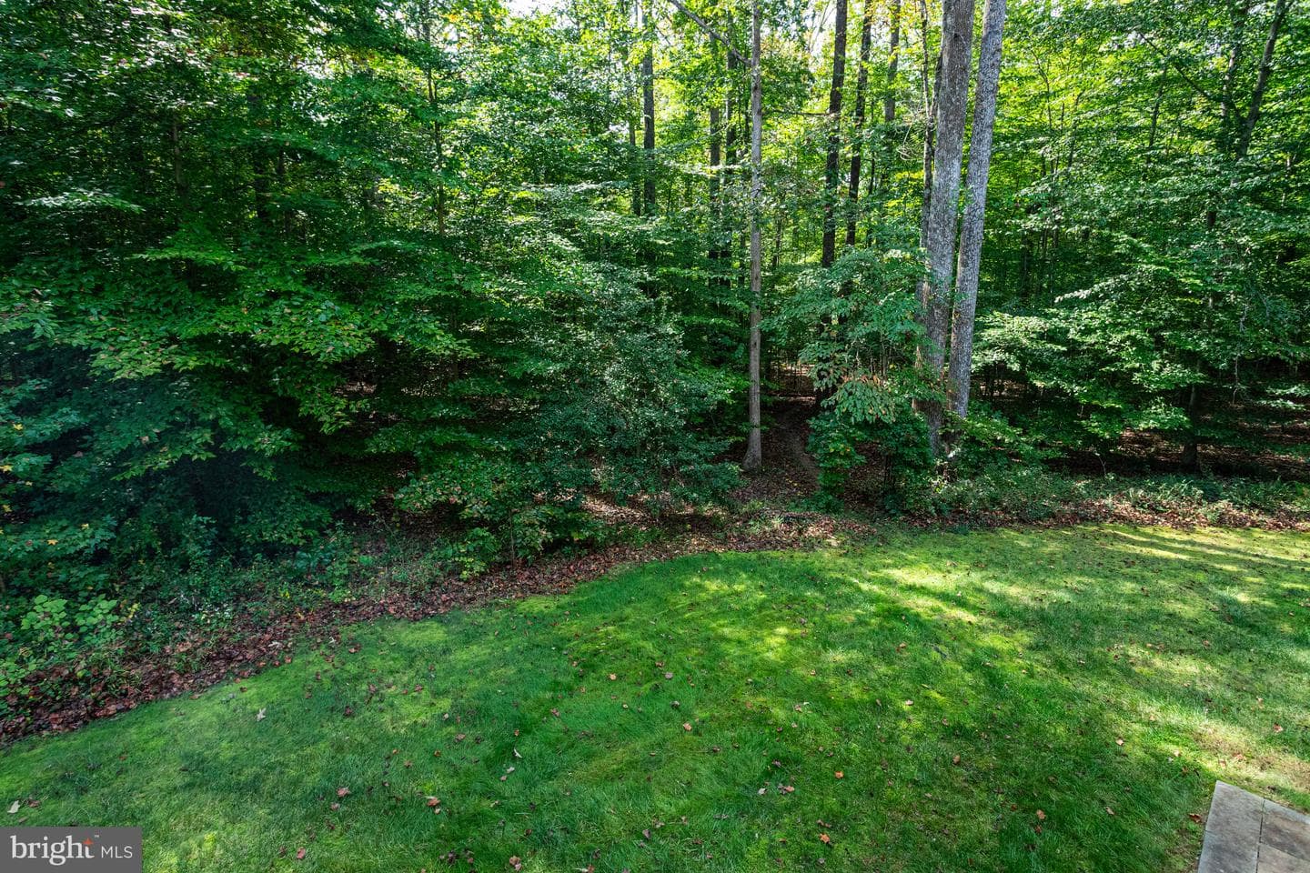 11901 Chapel Road photo 38