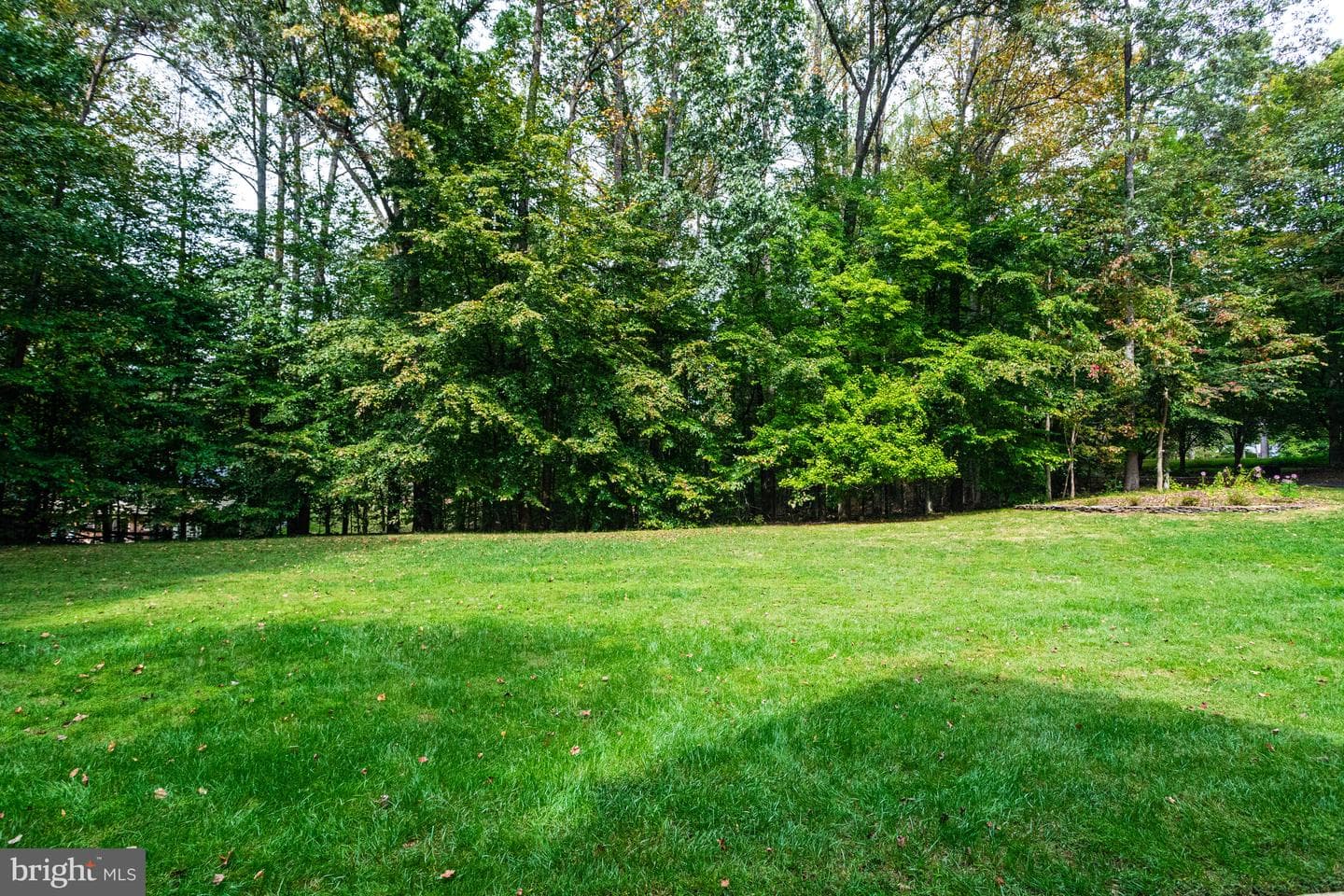 11901 Chapel Road photo 8