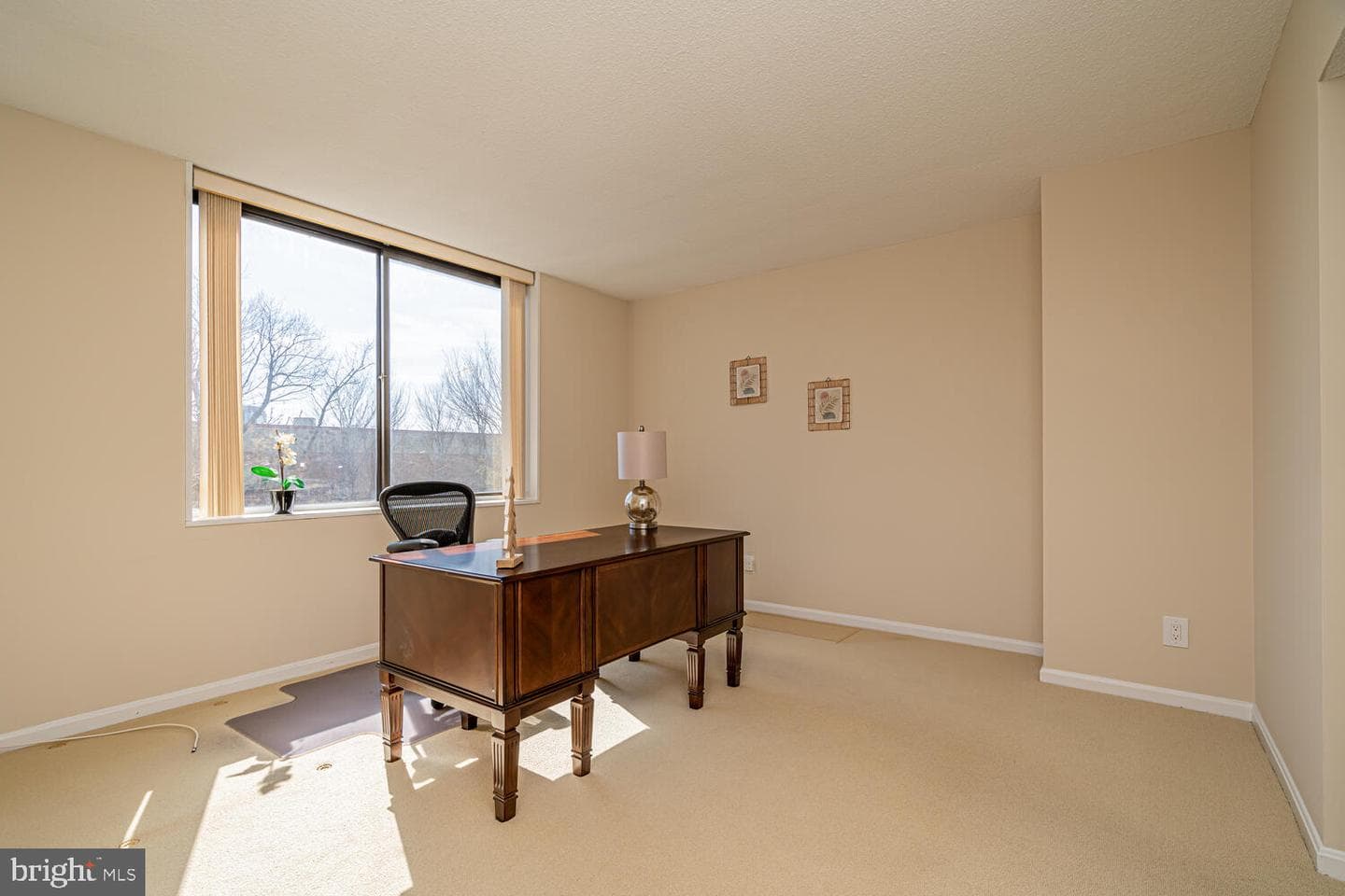 3713 S George Mason Drive #305 photo 43