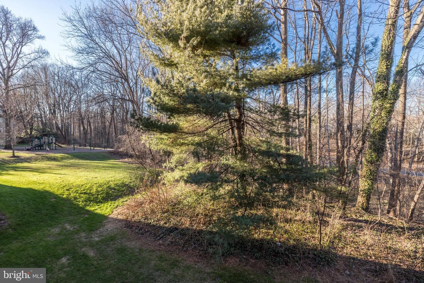 11604 Vantage Hill Road #12b photo 3