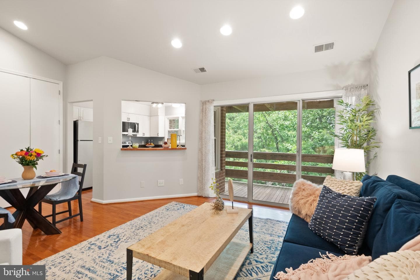 11168 Beaver Trail Court photo 20