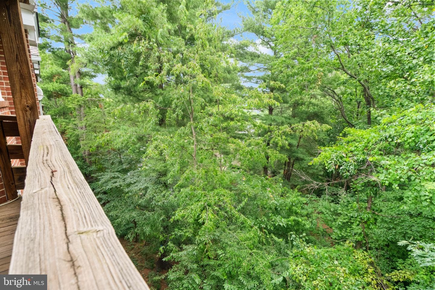 11168 Beaver Trail Court photo 44